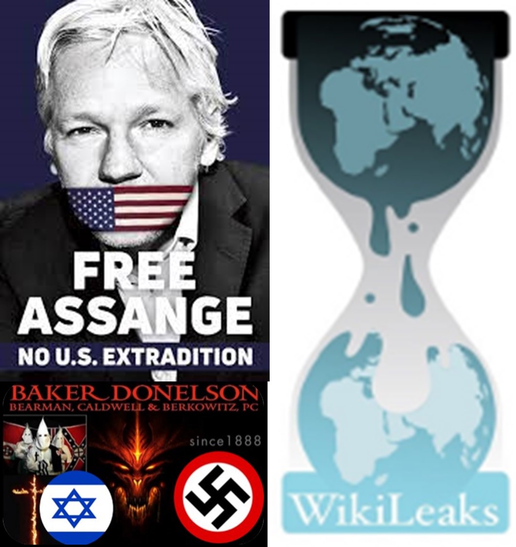 Free Julian Assange WikiLeaks
